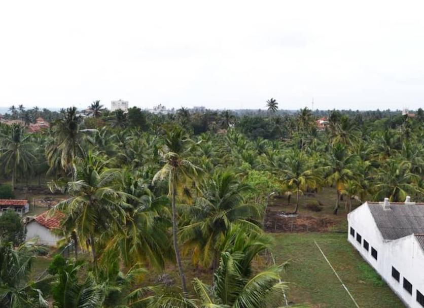 Vista del exterior Foto