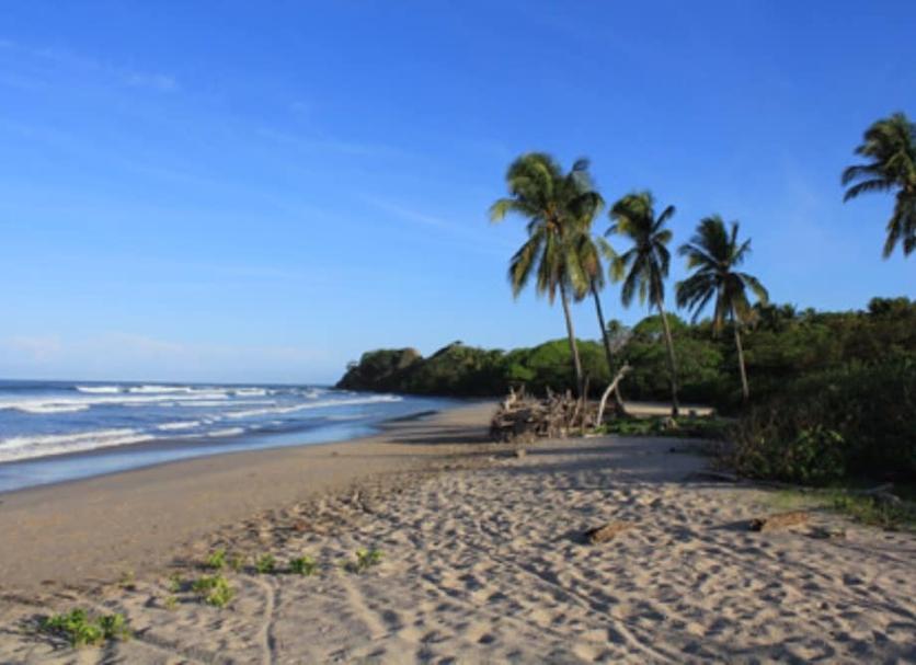 Playa Foto