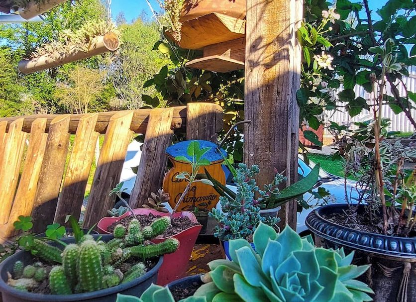 Vista del exterior Foto