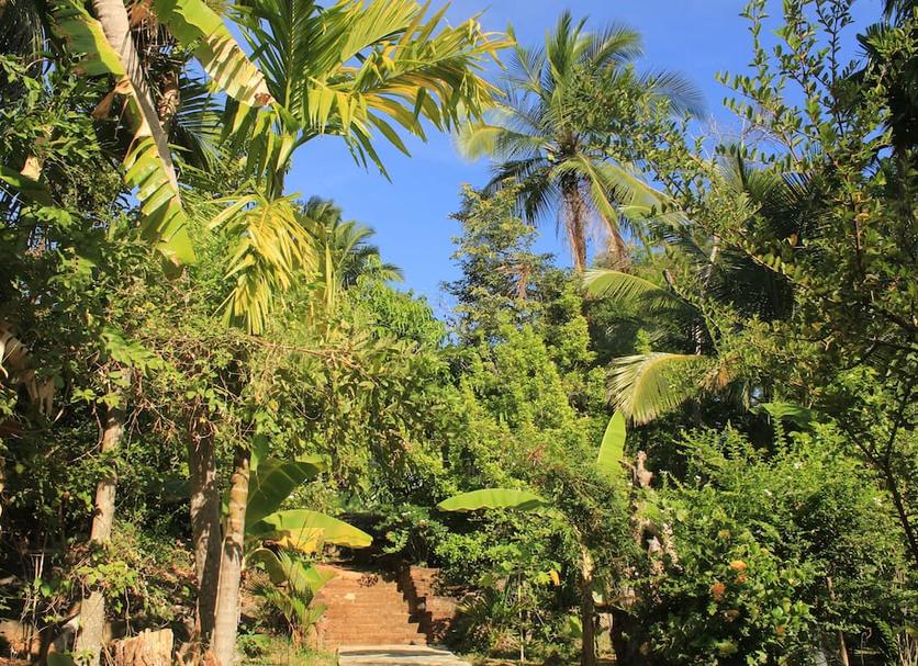 Vista del exterior Foto
