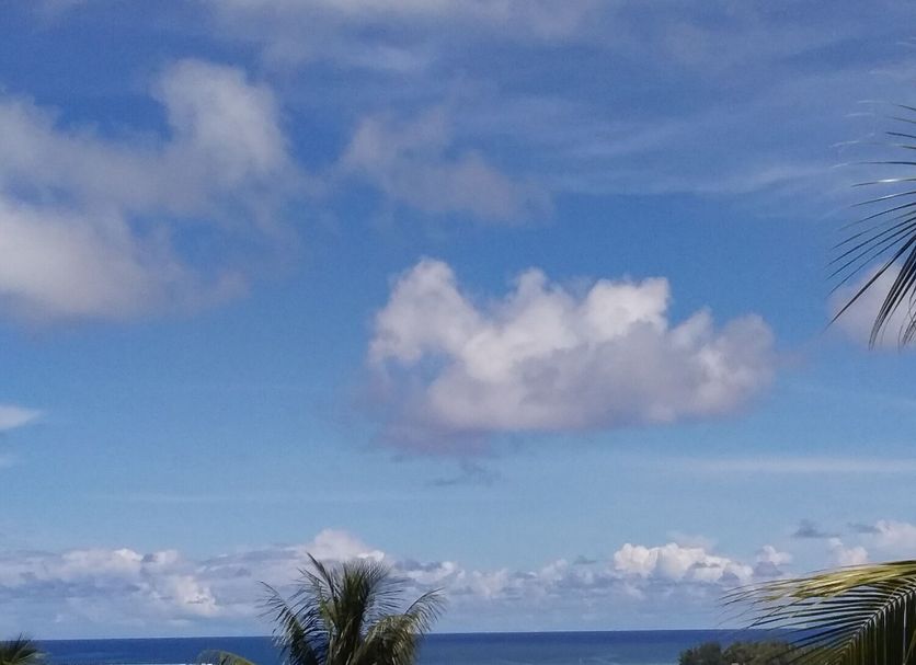 Otros Foto