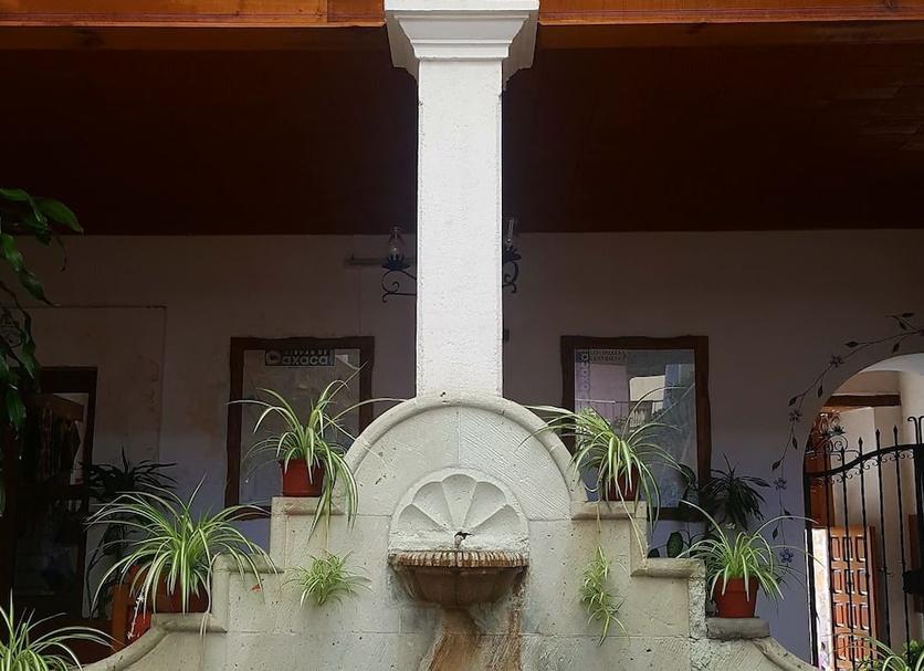 Otros Foto