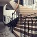 Escaleras