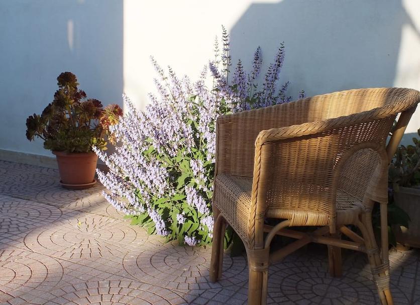 Patio Foto