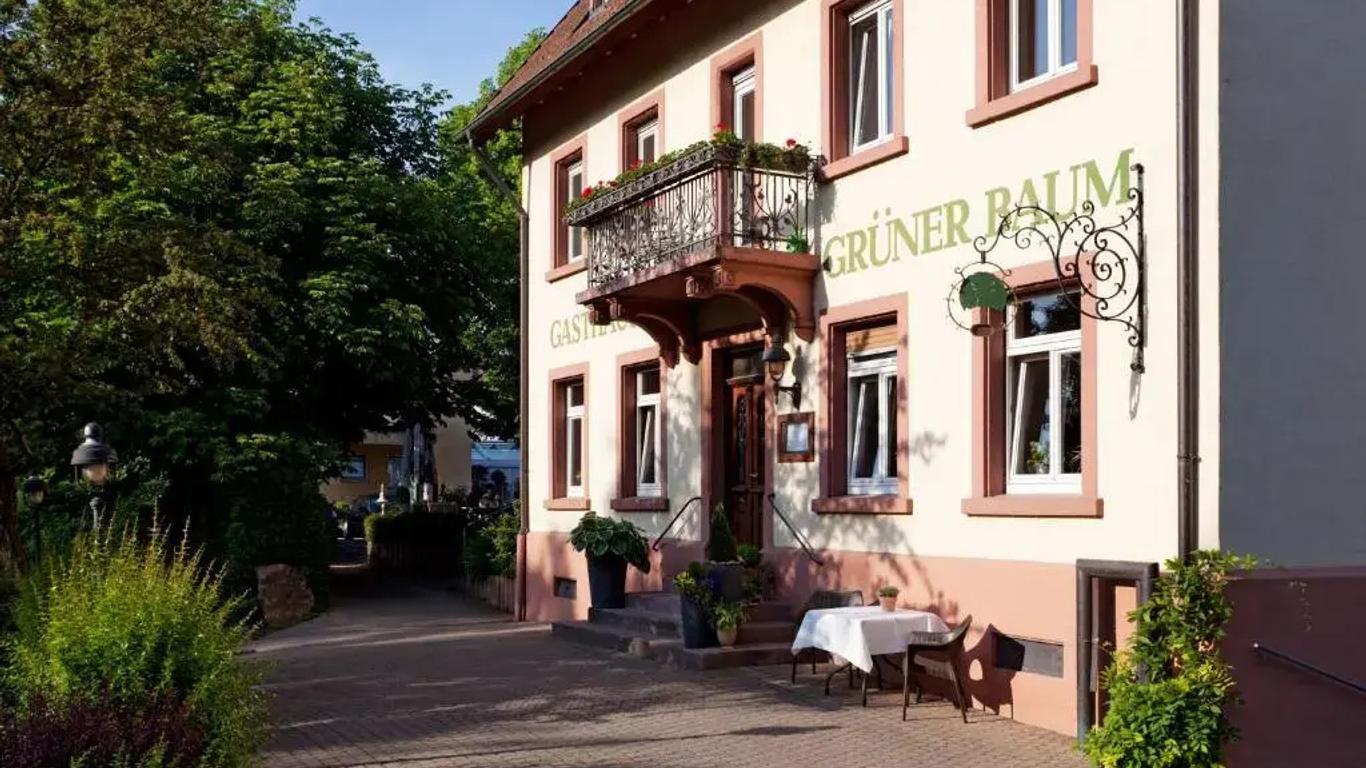 Hotel & Restaurant Grüner Baum Merzhausen