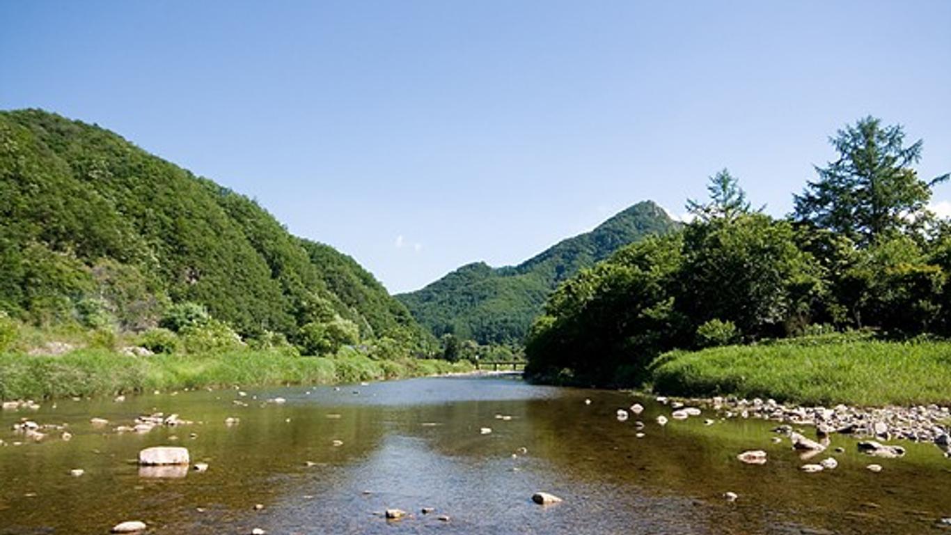 Hongcheon Harry House Pension