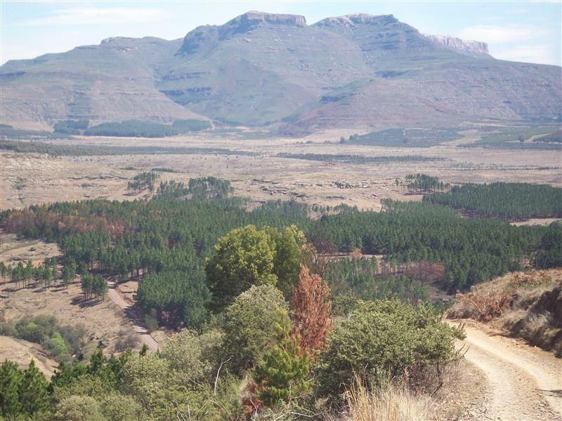 Vista del exterior