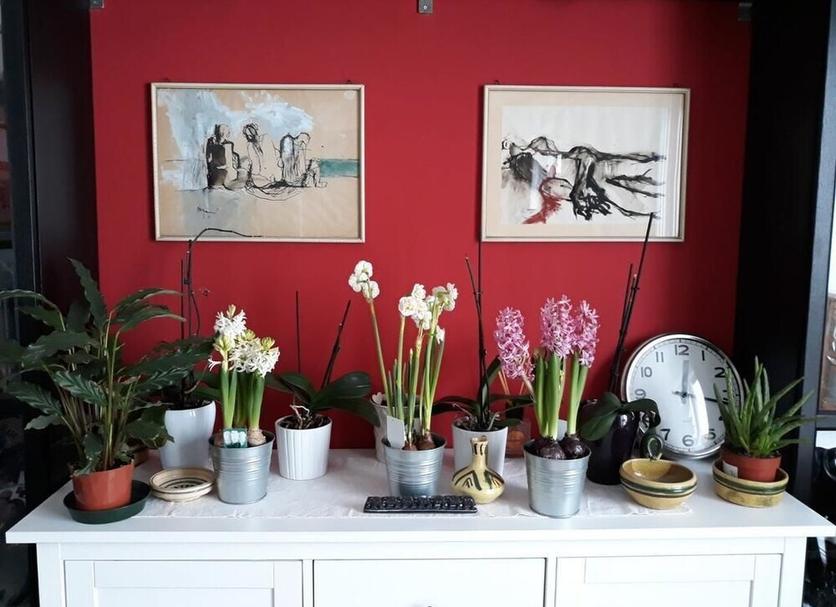Servicio de la habitación Foto
