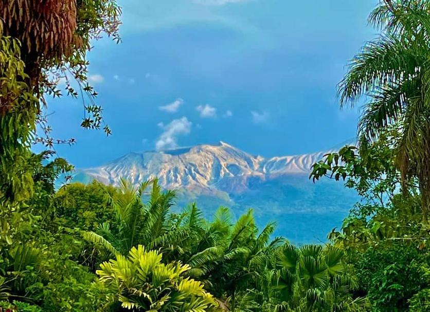 Vista del exterior Foto