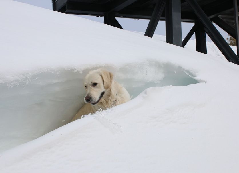 Servicio del hotel Foto