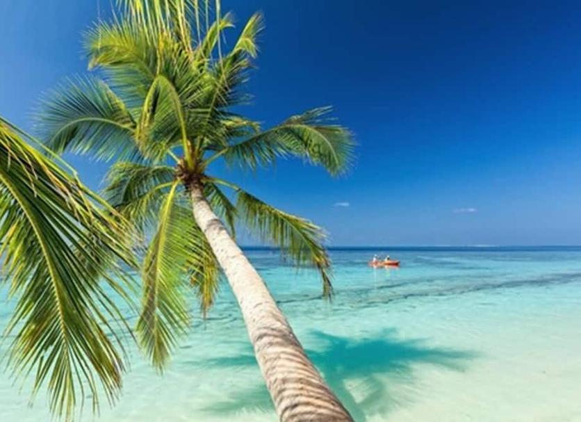 Playa Foto