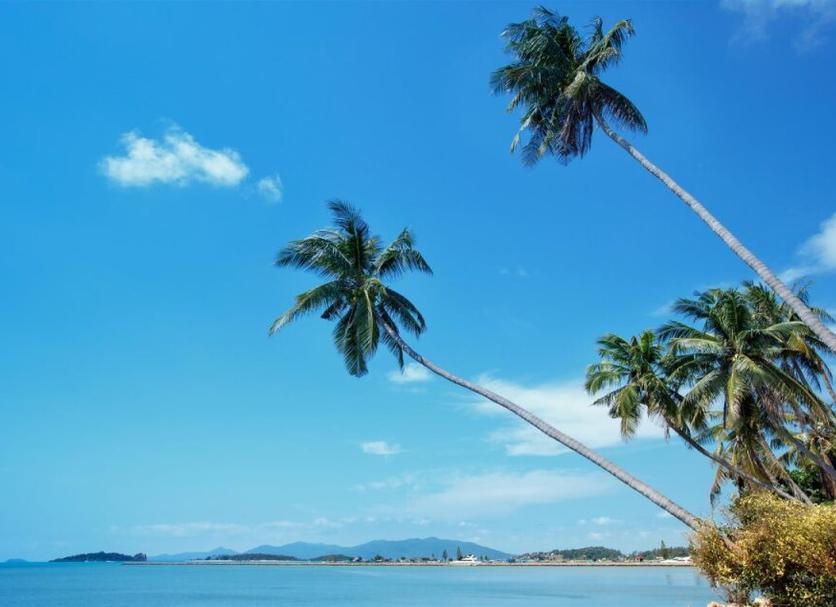 Playa Foto