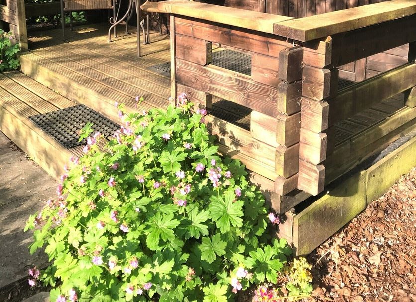 Patio Foto