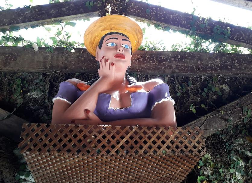 Otros Foto