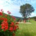 Vista del exterior