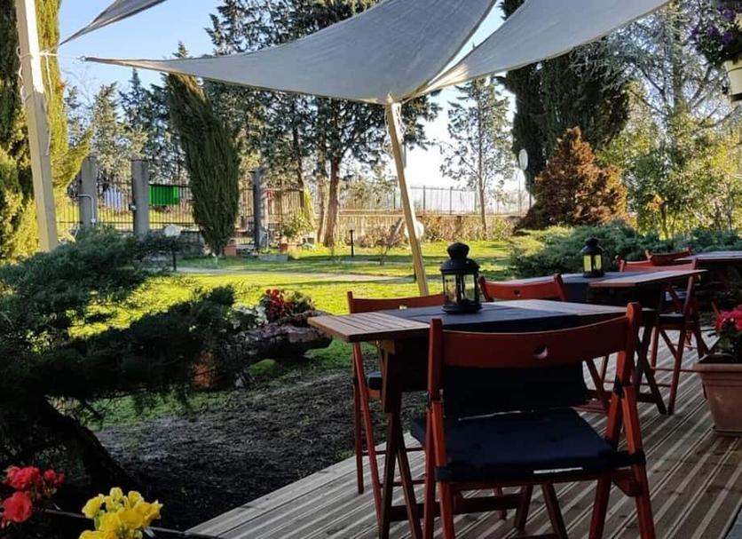 Patio Foto