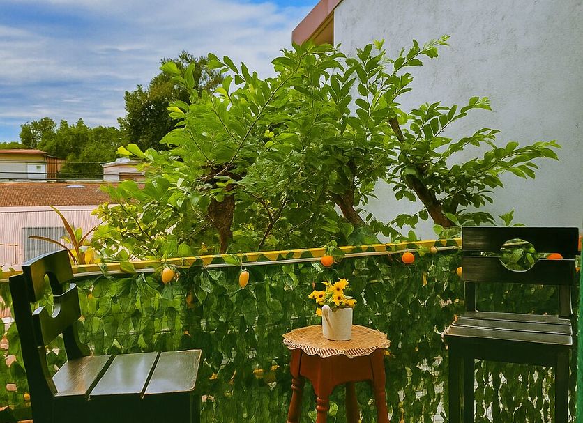 Patio Foto