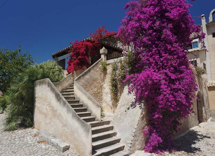 Vista del exterior Foto