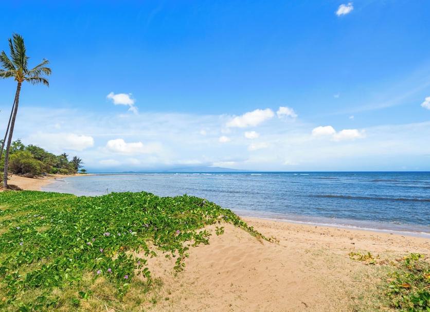 Playa Foto