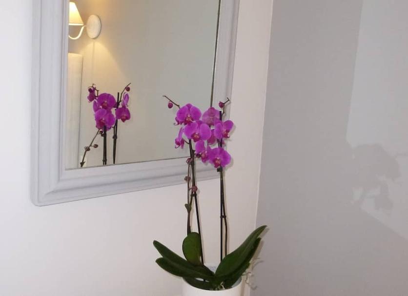 Servicio de la habitación Foto
