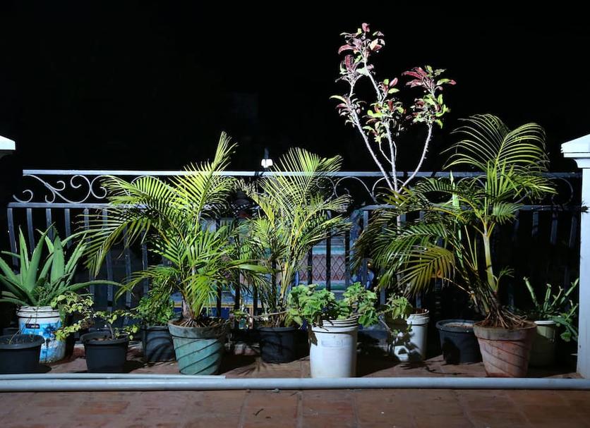 Vista del exterior Foto