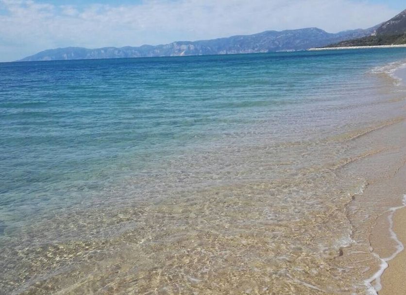 Playa Foto
