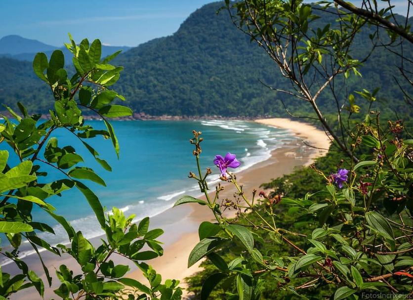 Playa Foto