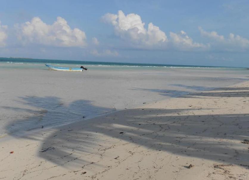 Playa Foto