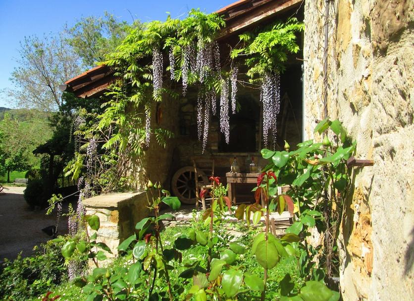 Vista del exterior Foto