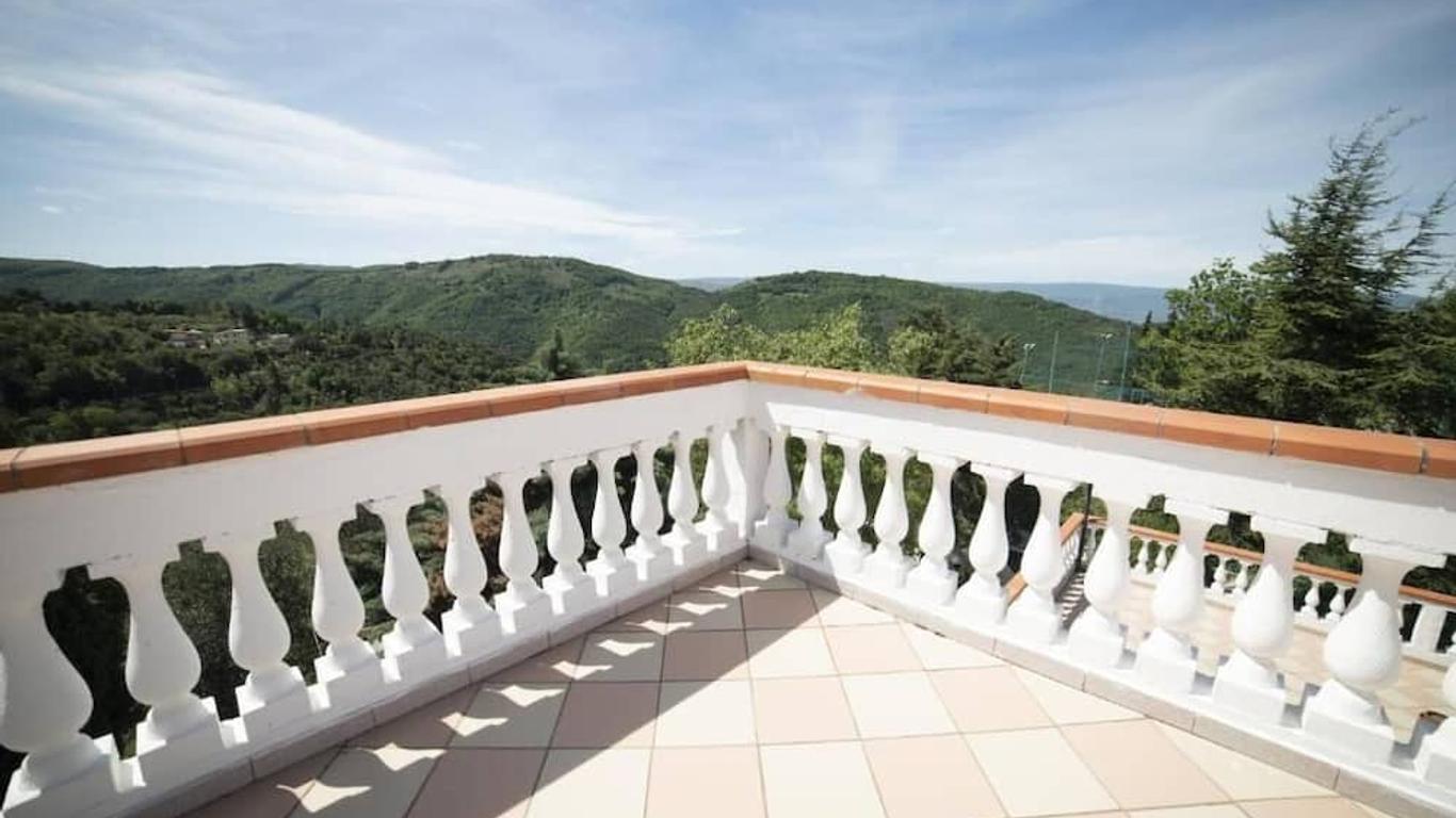 B&B Belvedere