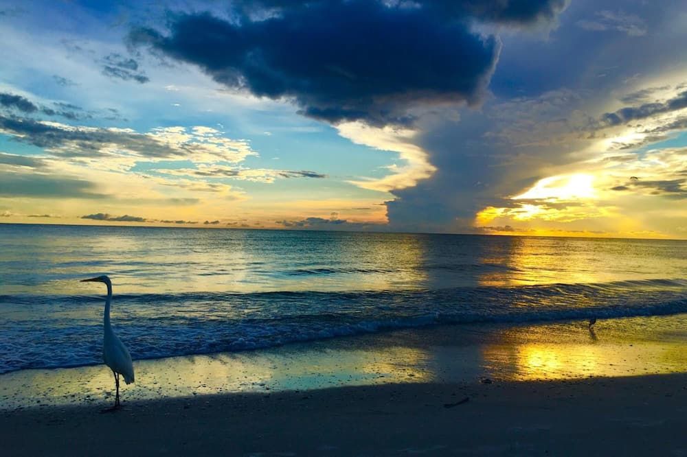 Playa Foto