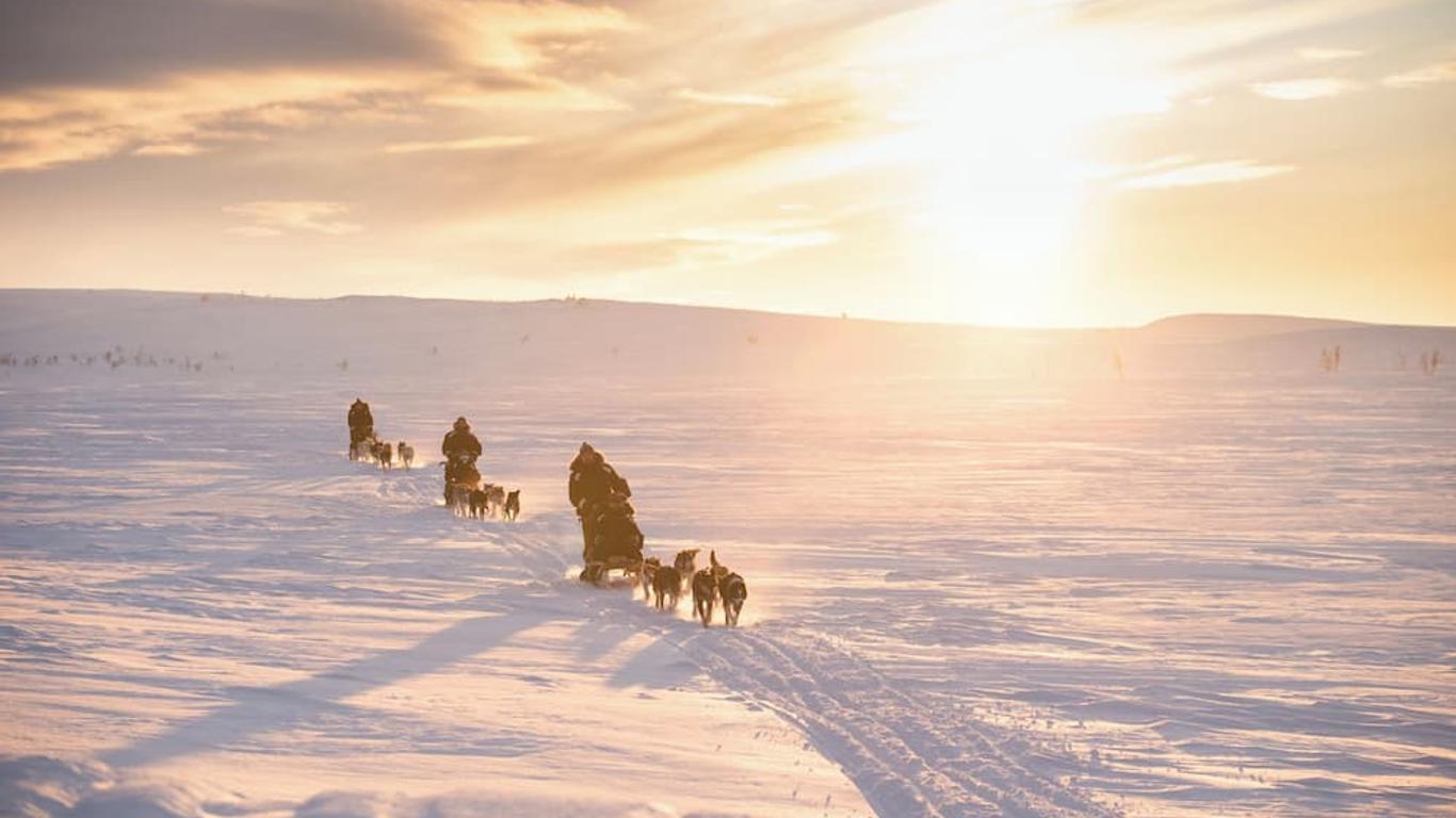 Holmen Husky Lodge