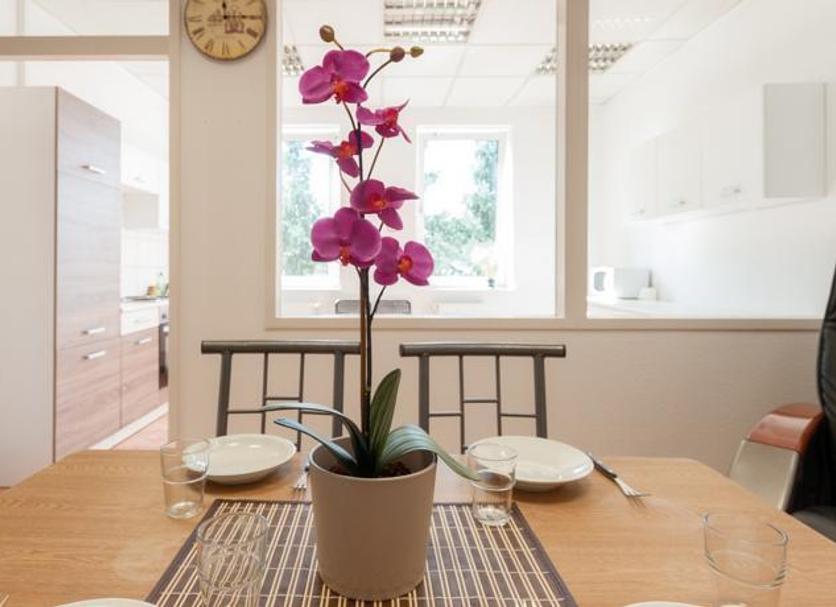 Comedor Foto