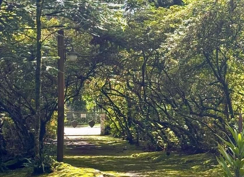 Vista del exterior Foto