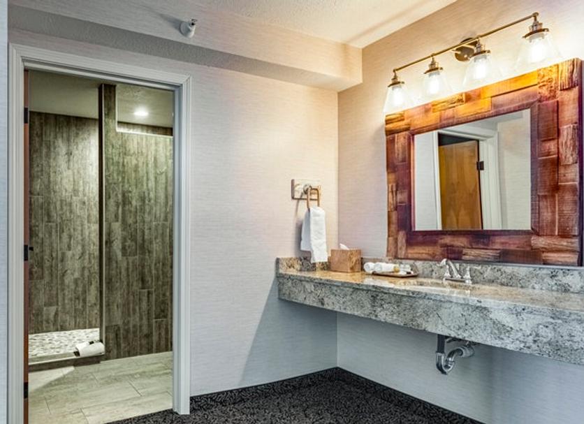Baño Foto