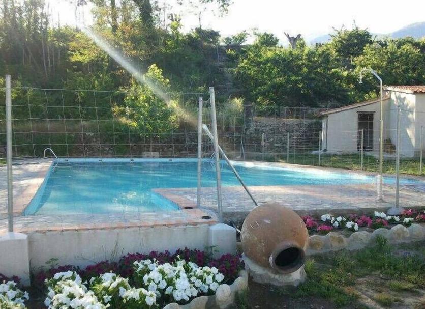 Otros Foto