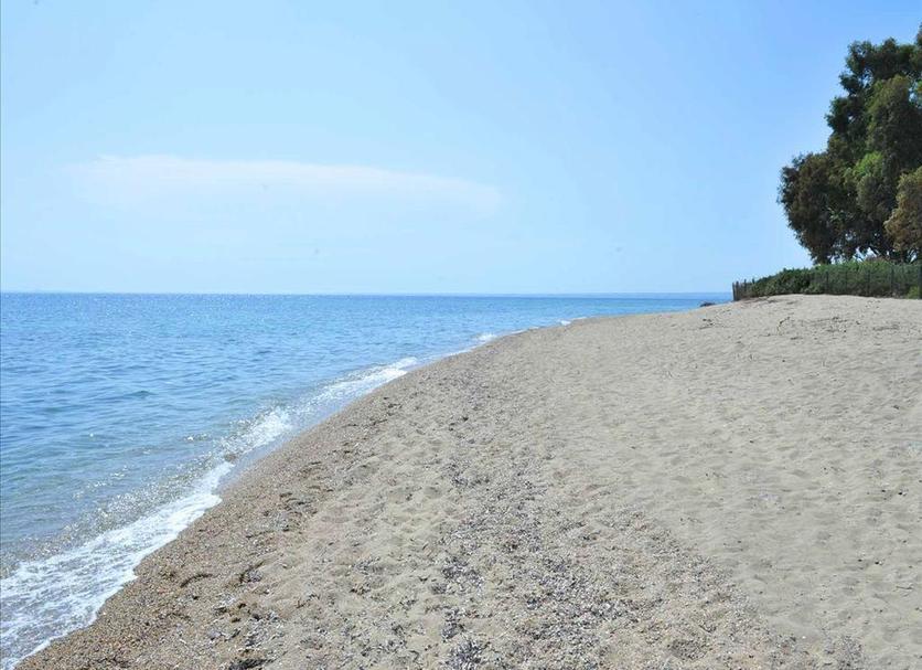 Playa Foto