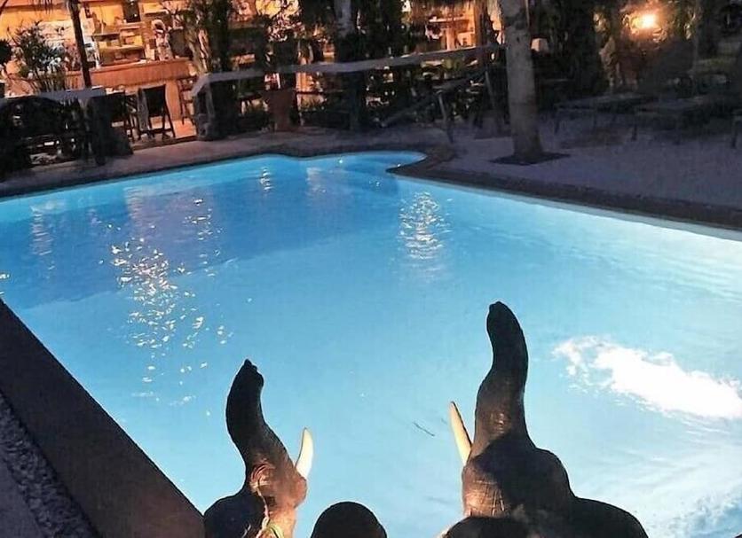Piscina Foto