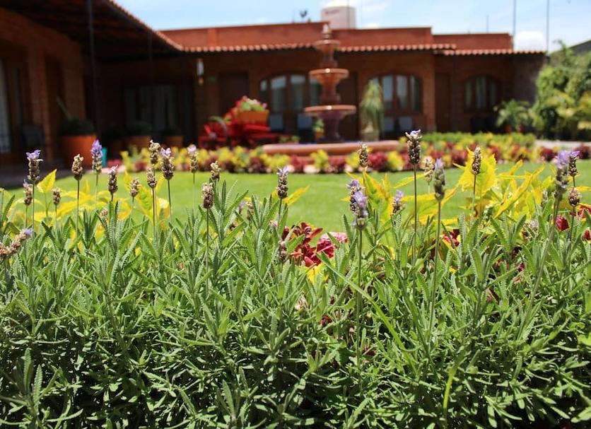 Vista del exterior Foto