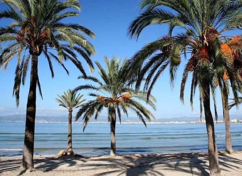 Playa Foto