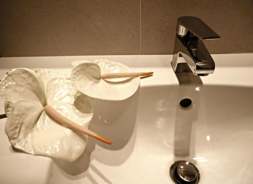 Servicio de la habitación Foto