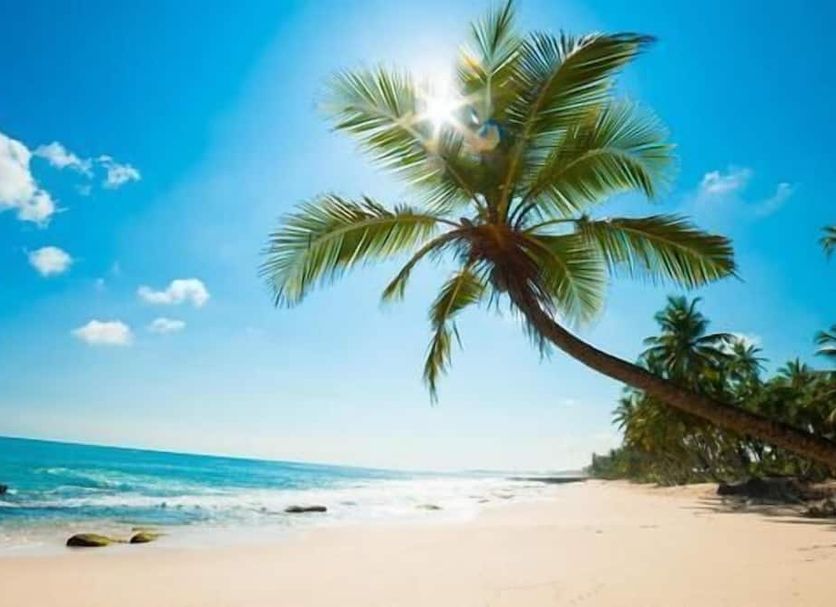Playa Foto