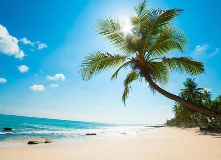 Playa Foto