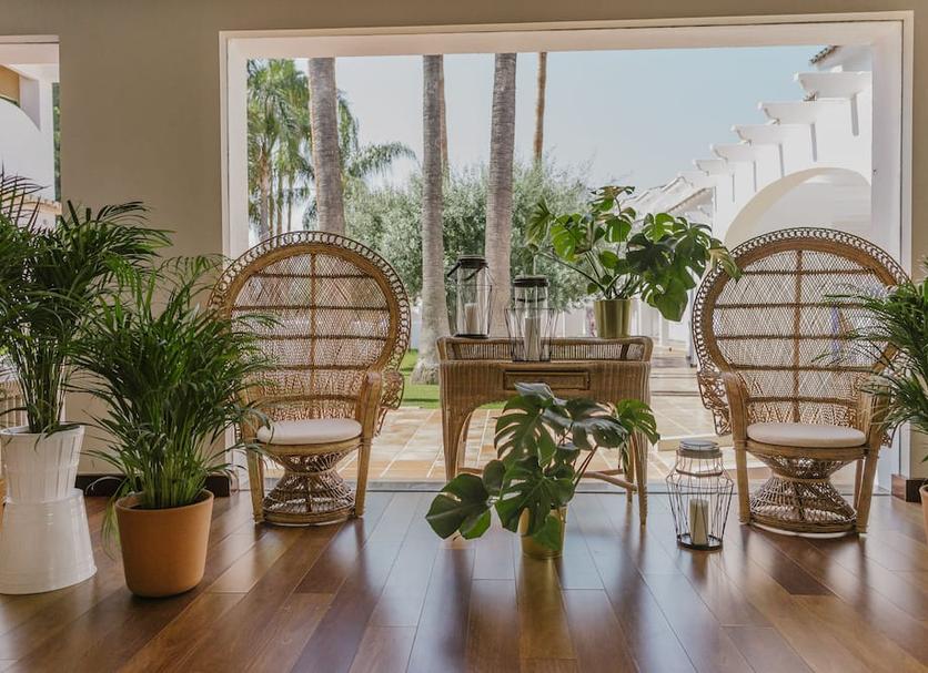 Patio Foto