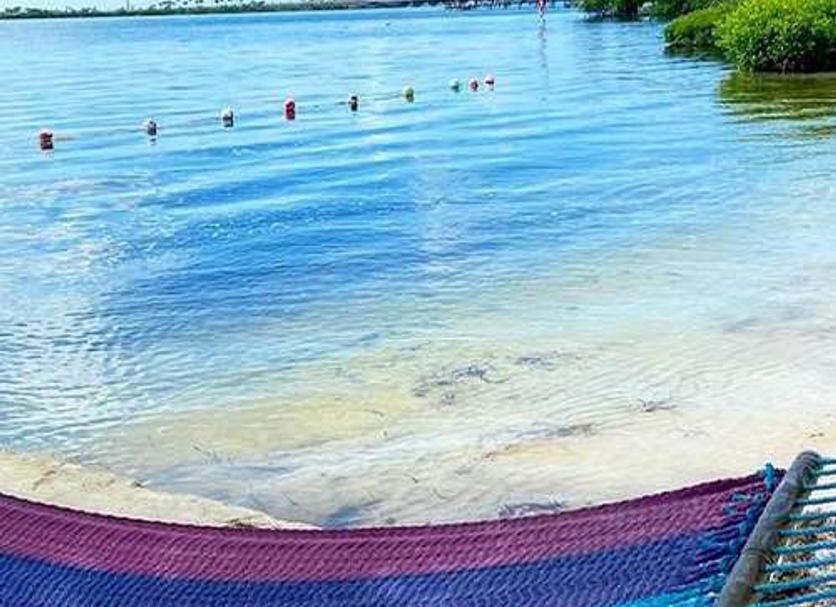 Playa Foto