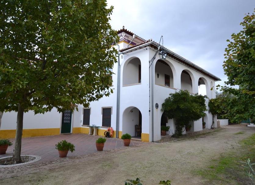 Otros Foto