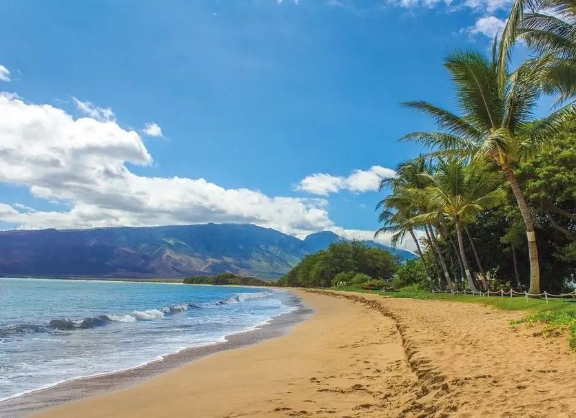Playa Foto