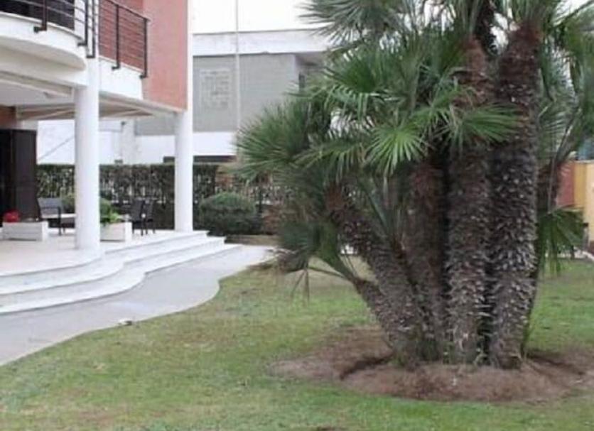 Vista del exterior Foto