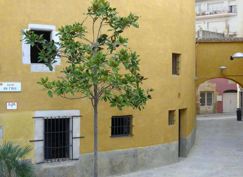 Vista del exterior Foto