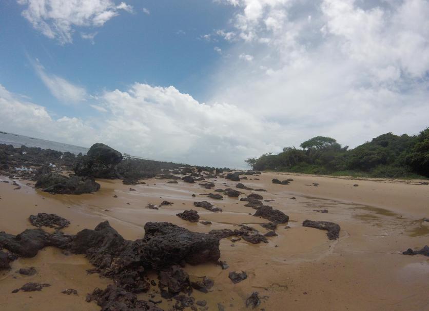 Playa Foto